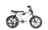 Heybike Titan 48V 15Ah/13Ah 1500W Electric Bike