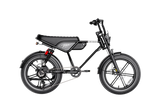Heybike Titan 48V 15Ah/13Ah 1500W Electric Bike