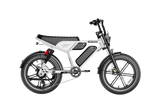 Heybike Titan 48V 15Ah/13Ah 1500W Electric Bike