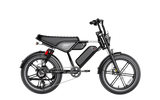 Heybike Titan 48V 15Ah/13Ah 1500W Electric Bike