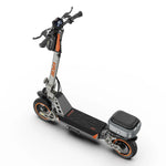 VIPCOO VS2 48V/13Ah 700W Electric Scooter