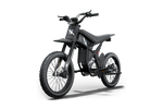 Riding Times GT73 48V/36Ah 2400W Off-Road Electric Dirt Bike