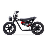 Droyd Weeler 24V/8Ah 200W Kids Electric Bike