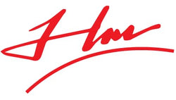 Heming logo