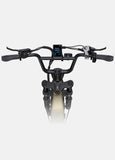 ENGWE L16 48V 18Ah/23Ah 1500W Electric Bike