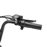 HappyRun G60 48V 13A 750W Electric Bike
