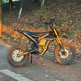 Freego Nova 5 Mini 48V/21Ah 2500W Off-Road Electric Dirt Bike