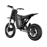 Freego X0 60V/23Ah 3600W Electric Mini Dirt Bike