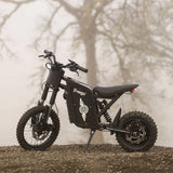 Freego X0 60V/23Ah 3600W Electric Mini Dirt Bike