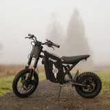 Freego X0 60V/23Ah 3600W Electric Mini Dirt Bike