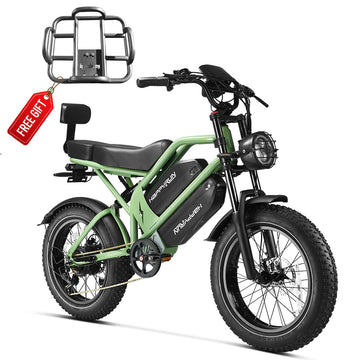 electric cargo bicycles HappyRun G70 48V/38Ah 2000W Electric Cargo Bike – Electric Ride Co