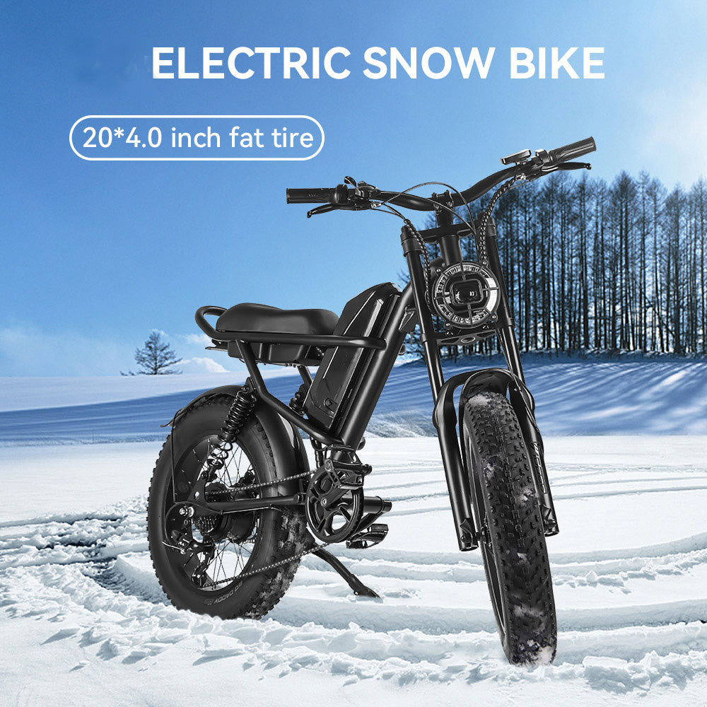 Idpoo IM J1 48V 15Ah 500W Moped Style Electric Bike Electric