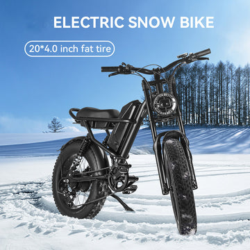 Idpoo IM-J1 48V/15Ah 500W Moped-Style Electric Bike – Electric Ride Co.