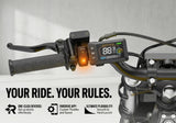 Heybike V1 (Villain) 52V/26Ah 4160W Off-Road Electric Dirt Bike