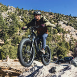 Hiboy P6 48V/11.6Ah 750W Fat Tire Electric Bike