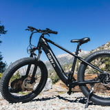 Hiboy P6 48V/11.6Ah 750W Fat Tire Electric Bike