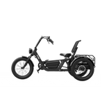 Freego FlekTrike Pro 48V/60Ah 1400W All-Terrain Electric Trike