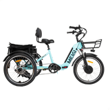 DWMEIGI Silverado MG2302 48V/13Ah 750W Electric Trike