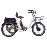 DWMEIGI Blazer MG2303 48V/16Ah 750W Electric Trike