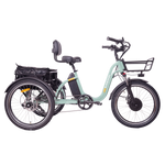 DWMEIGI Blazer MG2303 48V/16Ah 750W Electric Trike