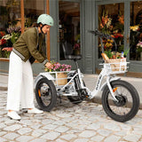 Eunorau NEW-TRIKE 2.0 48V/20Ah 750W Electric Trike