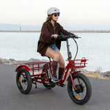 Eunorau NEW-TRIKE 2.0 48V/20Ah 750W Electric Trike