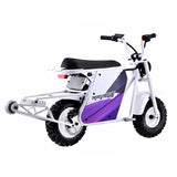 Droyd Ravage 48V/30Ah 3000W Electric Mini Bike
