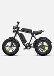 ENGWE M20 48V 13Ah/26Ah 750W All-Terrain Electric Bike
