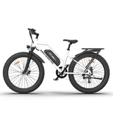 AOSTIRMOTOR S07-G 48V/13Ah 750W Fat Tire Electric Bike