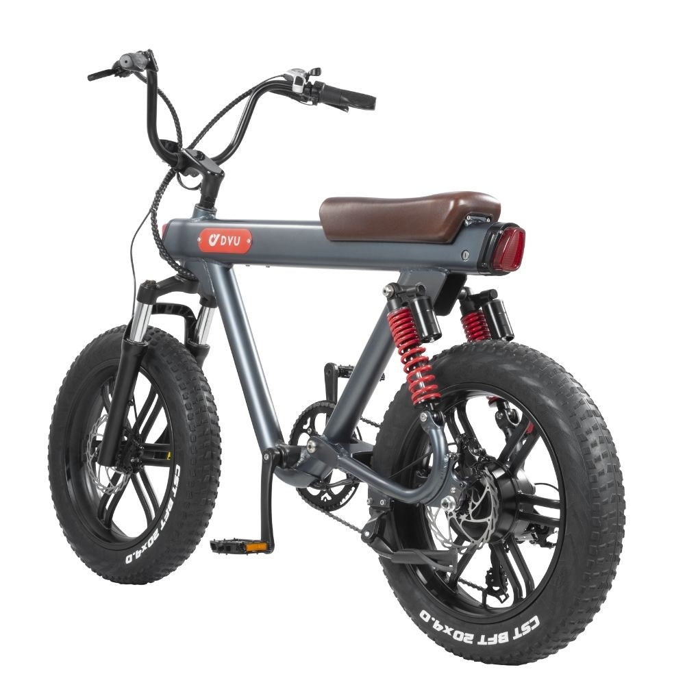 DYU V8 48V 15.5Ah 750W Electric Bike Electric Ride Co