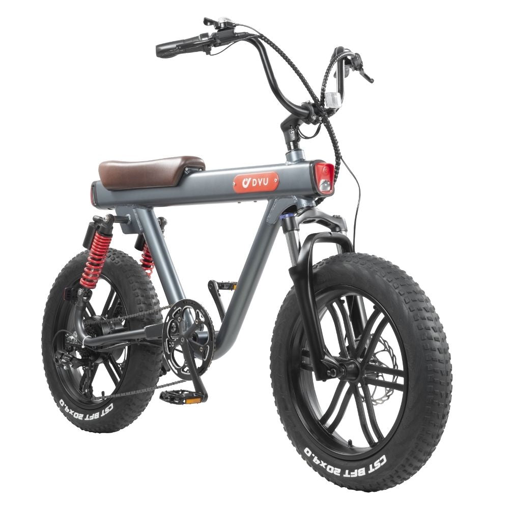 DYU V8 48V 15.5Ah 750W Electric Bike Electric Ride Co