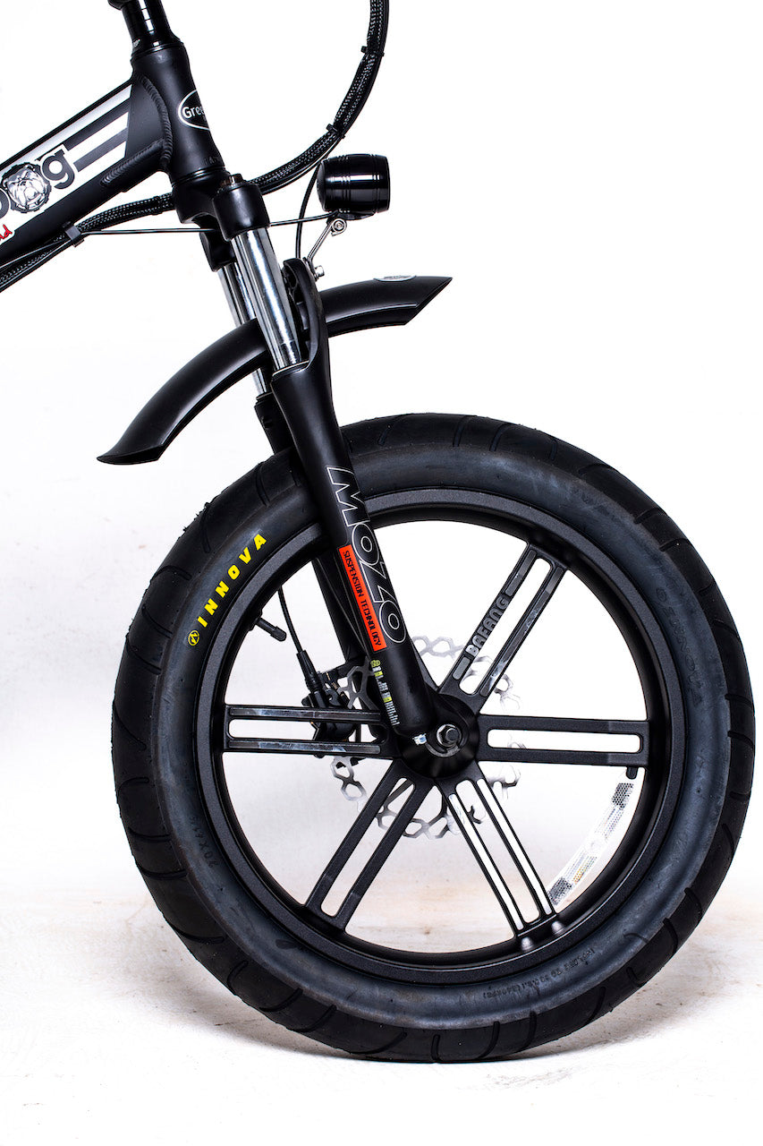 GreenBike Electric Motion Big Dog Off Road Electric Bike Electric Ride Co