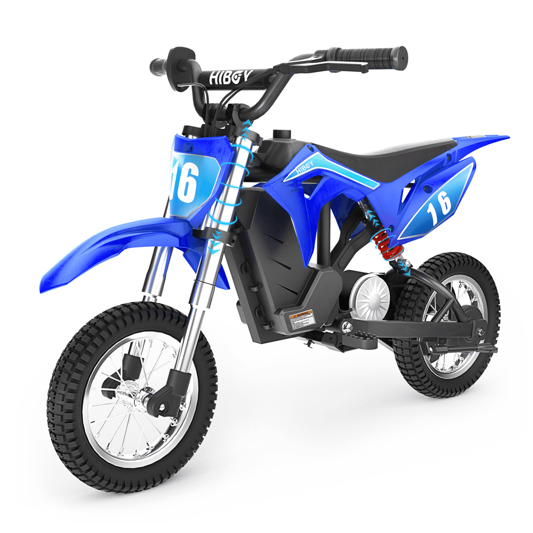Hiboy DK1 36V 4Ah 300W Electric Dirt Bike For Kids Electric Ride Co