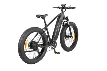 DYU King 750 26 Inch Fat Tire Electric Bike, Bike Only / UK