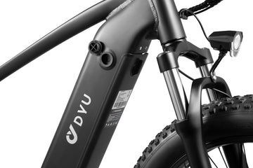 DYU King 750 48V/20Ah 750W Fat Tire Electric Bike – Electric Ride Co