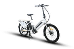 EUNORAU MAX-CARGO 48V/11.6Ah 750W Dual Battery Electric Cargo Bike