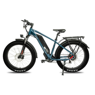 DWMeigi 750W Pegasus Electric Bike