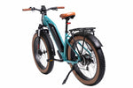 DWMEIGI Artemis 48V 750W Fat Tire Electric Bike