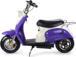 MotoTec 24V 350W Electric Moped