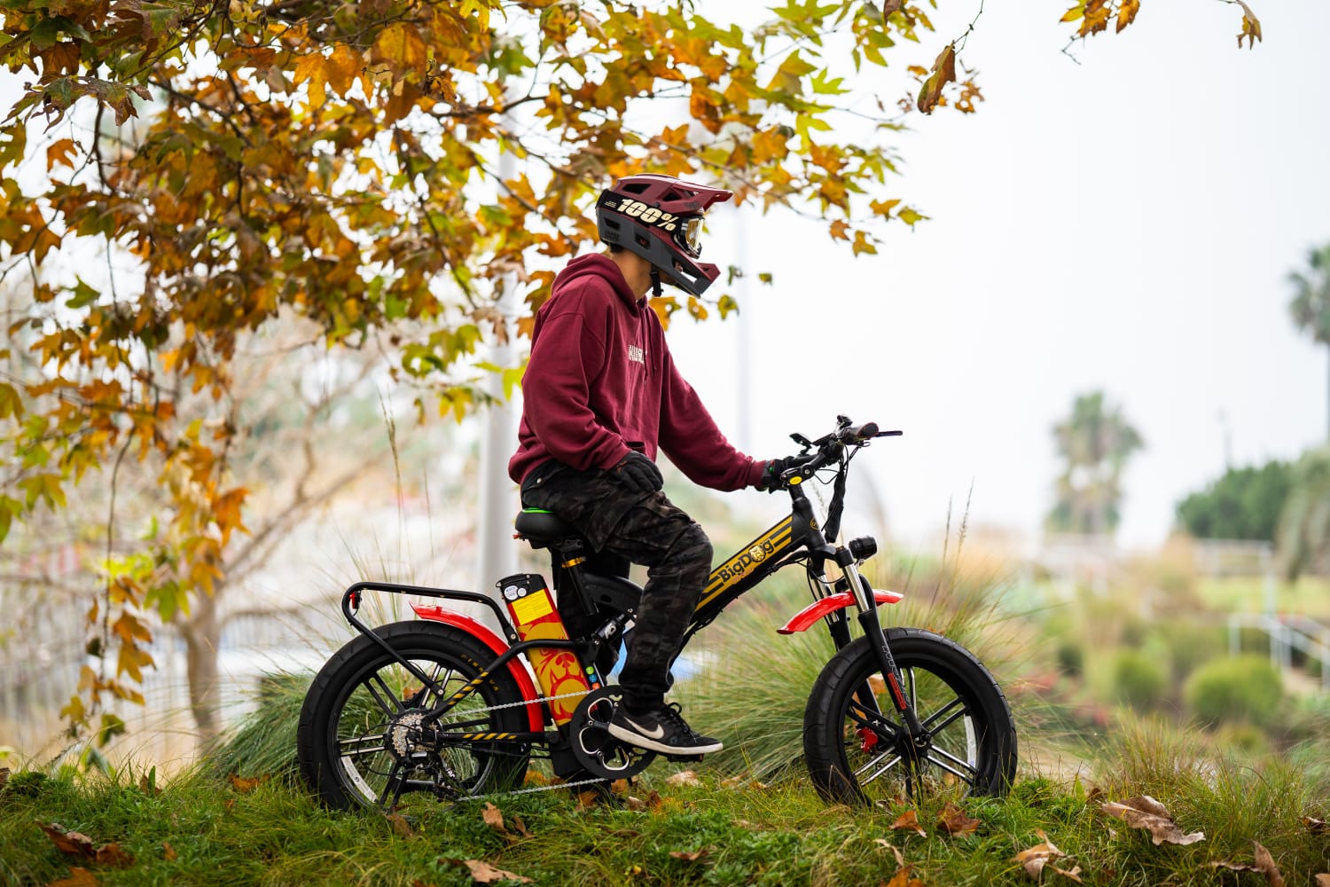 Green bike big dog off online road