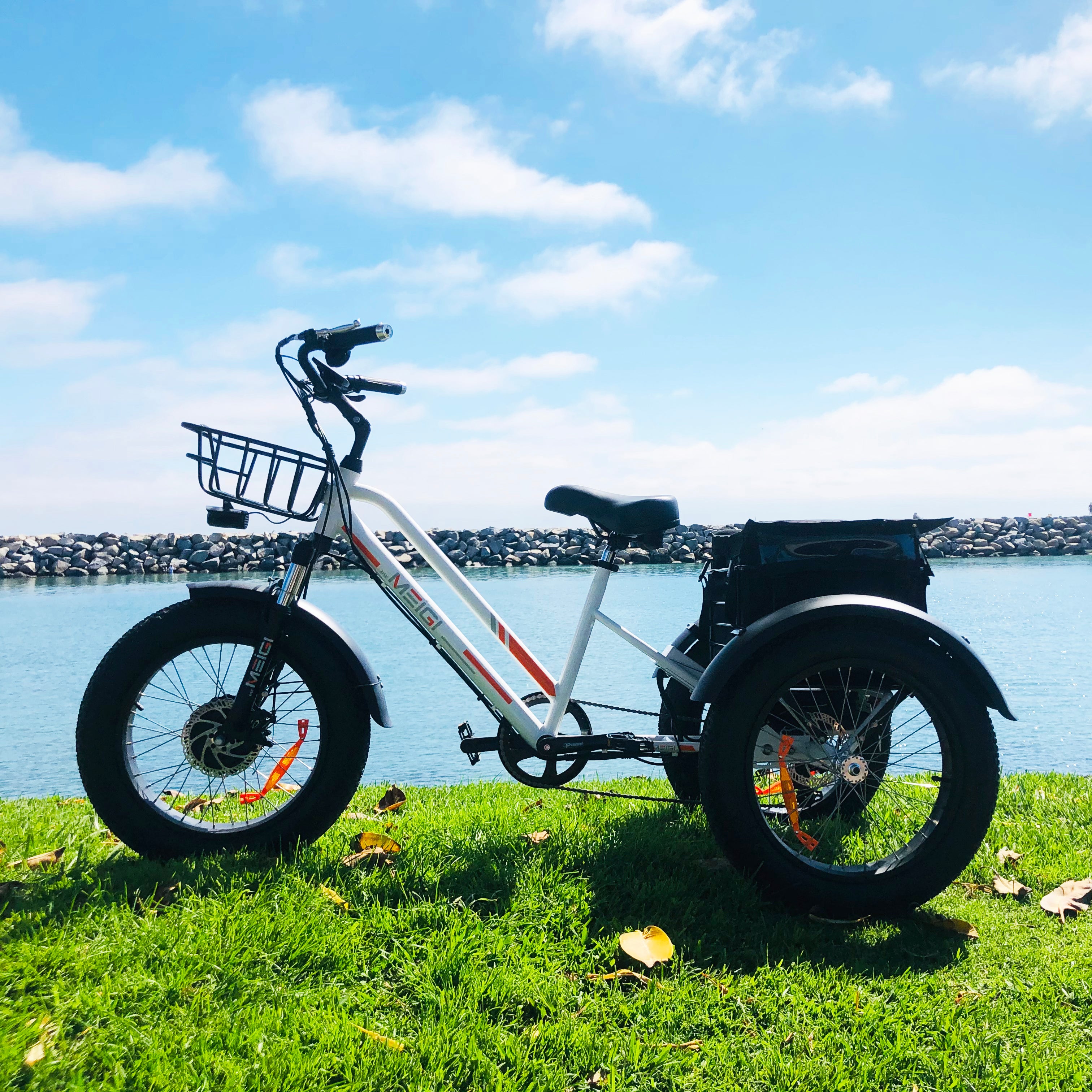 DWMEIGI Zeus MG1703 48V/18.2Ah 750W Electric Trike DWMEIGI Zeus MG1703 48V/18.2Ah 750W Electric Trike