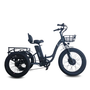 Emojo Caddy Pro 48V 500W Electric Trike Electric Ride Co