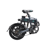 Fiido D2S 36V/7.8Ah 250W Electric Mini Bike