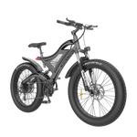 AOSTIRMOTOR S18 48V/15Ah 750W Fat Tire Electric Bike